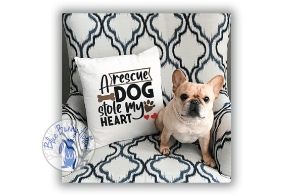 A Rescue Dog Stole My Heart