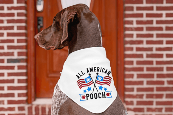 All American Pooch: A Designer's Review