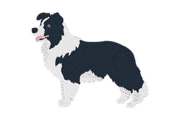 Border Collie-0410: A Seasonal Embroidery Review